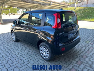 Fiat Panda 1.0 firefly hybrid s&s 70cv 5p.ti (5)