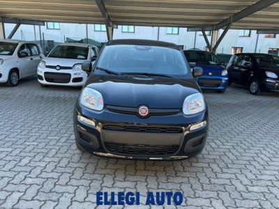 Fiat Panda 1.0 firefly hybrid s&s 70cv 5p.ti (7)