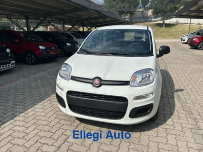 Fiat Panda 1.0 firefly hybrid s&s 70cv 5p.ti nuova