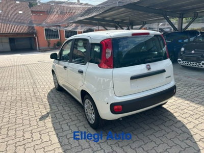 Fiat Panda 1.0 firefly hybrid s&s 70cv 5p.ti (10)