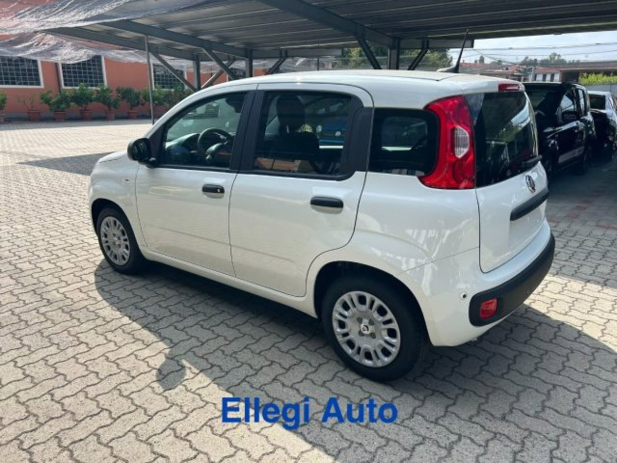 Fiat Panda 1.0 firefly hybrid s&s 70cv 5p.ti (11)