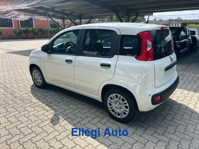 Fiat Panda 1.0 firefly hybrid s&s 70cv 5p.ti (11)