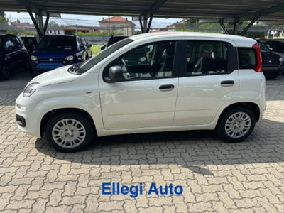 Fiat Panda 1.0 firefly hybrid s&s 70cv 5p.ti (12)