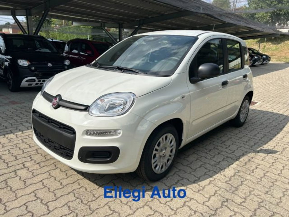 Fiat Panda 1.0 firefly hybrid s&s 70cv 5p.ti (13)
