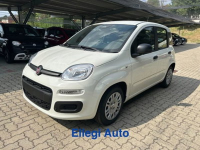 Fiat Panda 1.0 firefly hybrid s&s 70cv 5p.ti (13)