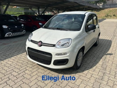 Fiat Panda 1.0 firefly hybrid s&s 70cv 5p.ti (2)