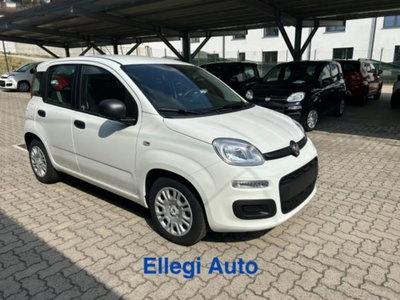 Fiat Panda 1.0 firefly hybrid s&s 70cv 5p.ti (4)