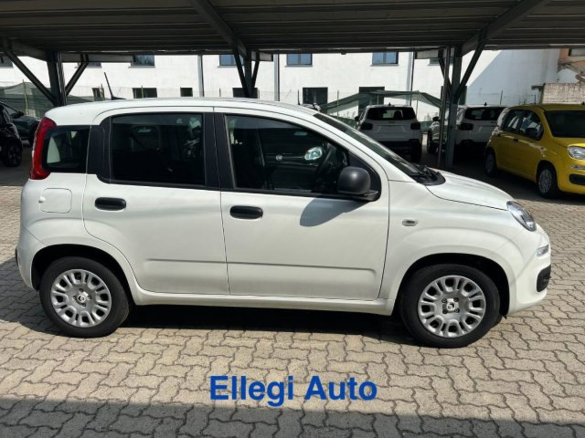 Fiat Panda 1.0 firefly hybrid s&s 70cv 5p.ti (5)