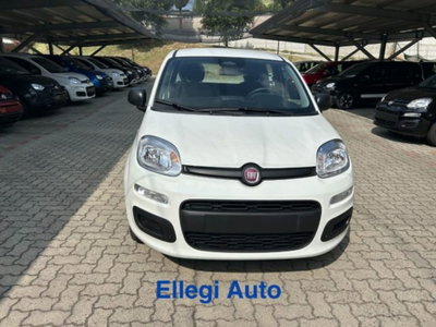Fiat Panda 1.0 firefly hybrid s&s 70cv 5p.ti (6)