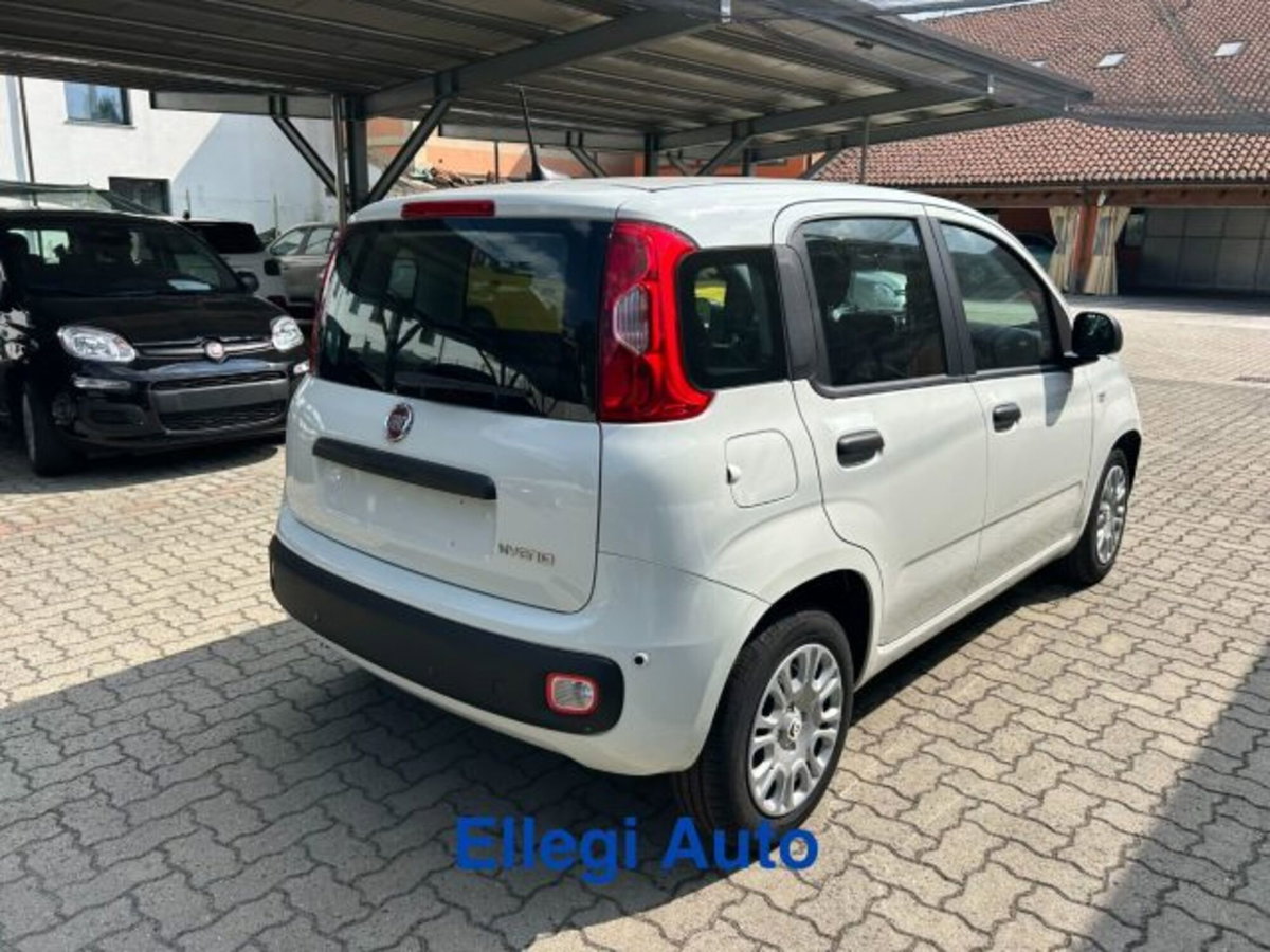 Fiat Panda 1.0 firefly hybrid s&s 70cv 5p.ti (7)