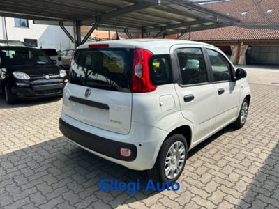 Fiat Panda 1.0 firefly hybrid s&s 70cv 5p.ti (7)