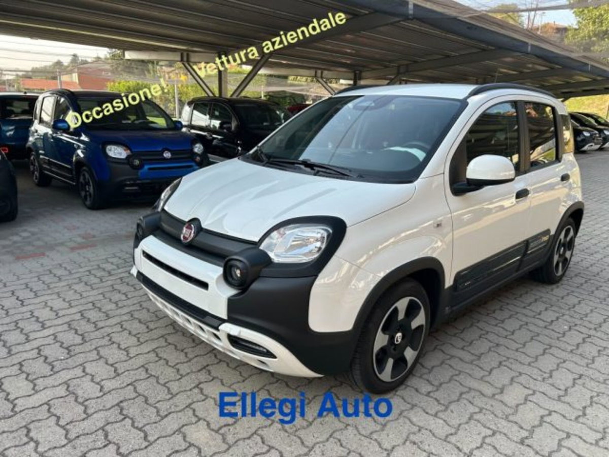 Fiat Pandina 1.0 firefly hybrid s&s 65cv (12)