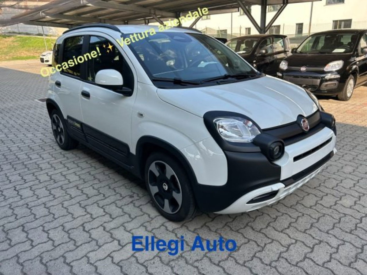 Fiat Pandina 1.0 firefly hybrid s&s 65cv (2)