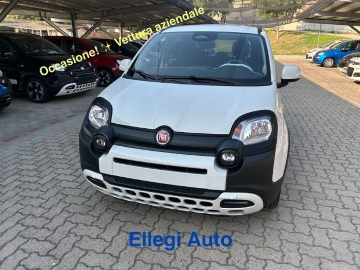 Fiat Pandina 1.0 firefly hybrid s&s 65cv (20)