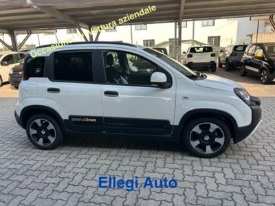 Fiat Pandina 1.0 firefly hybrid s&s 65cv (3)