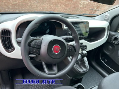 Fiat Pandina 1.0 firefly hybrid s&s 70cv (11)