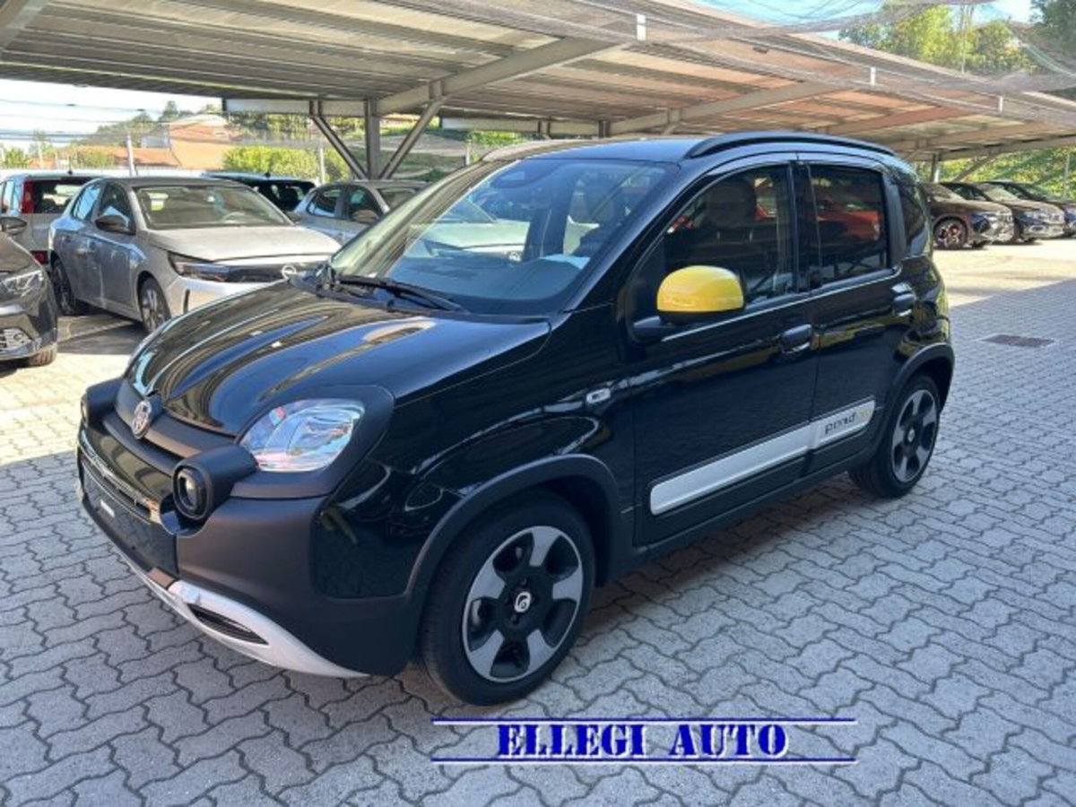 Fiat Pandina 1.0 firefly hybrid s&s 70cv (7)