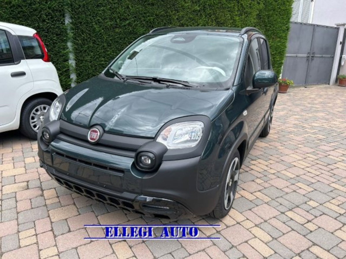Fiat Pandina van 1.0 Hybrid 65cv S&S Pop (2)