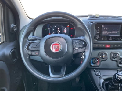 Fiat Panda Cross Cross 1.0 FireFly S&S Hybrid (14)