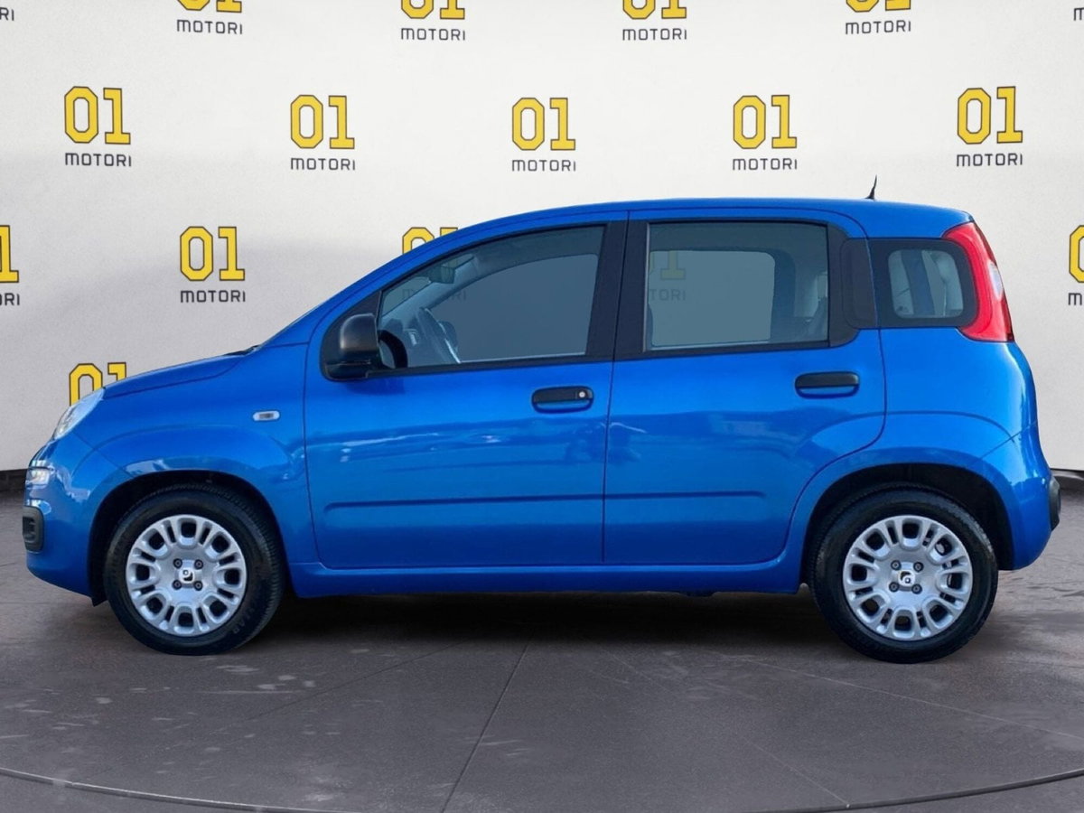 Fiat Panda Cross Cross 1.0 FireFly S&S Hybrid (2)