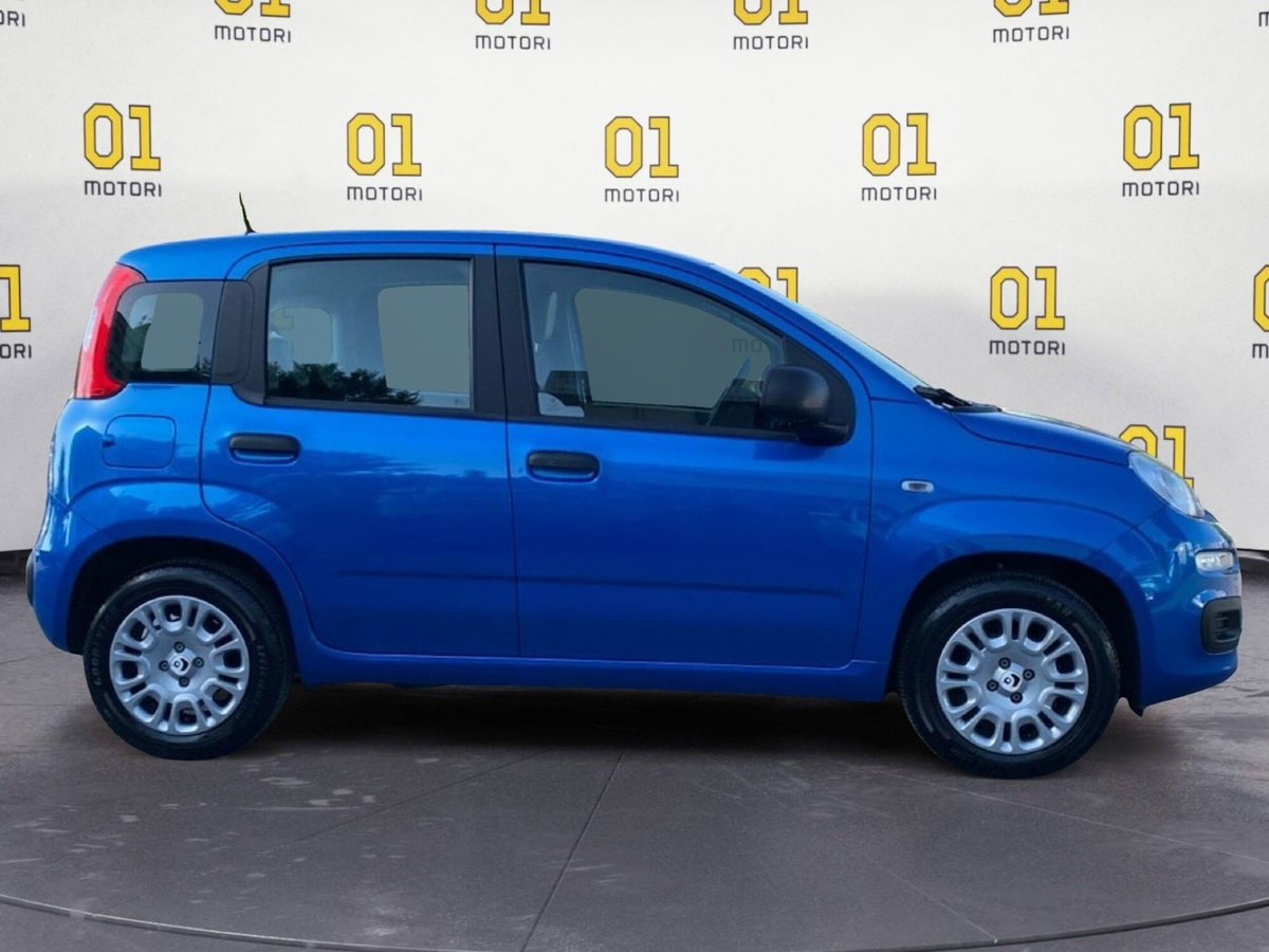 Fiat Panda Cross Cross 1.0 FireFly S&S Hybrid (6)
