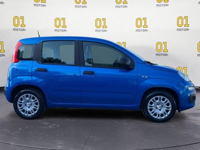 Fiat Panda Cross Cross 1.0 FireFly S&S Hybrid (6)
