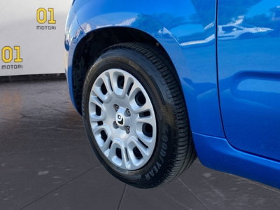 Fiat Panda Cross Cross 1.0 FireFly S&S Hybrid (9)