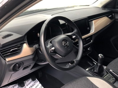 Skoda Kamiq 1.0 TSI 110 CV DSG Style (12)