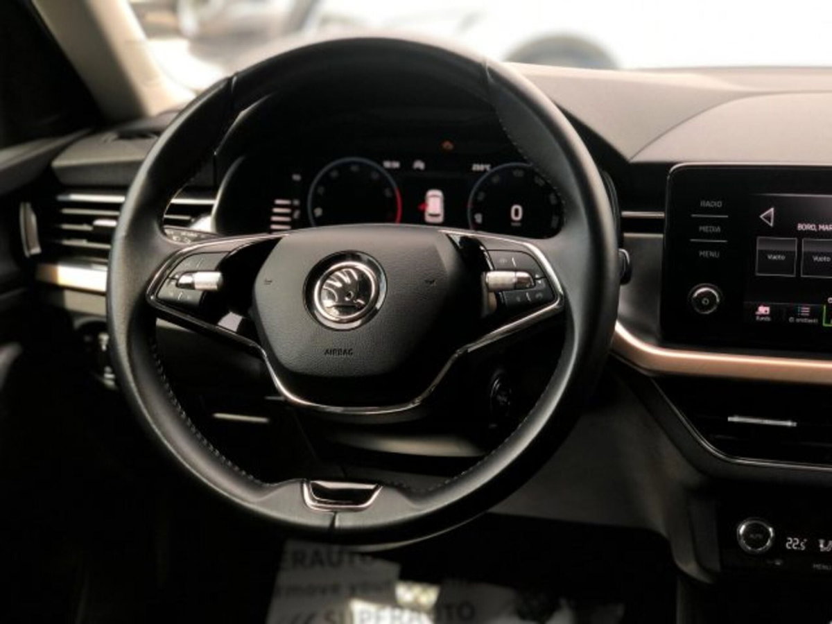 Skoda Kamiq 1.0 TSI 110 CV DSG Style (16)
