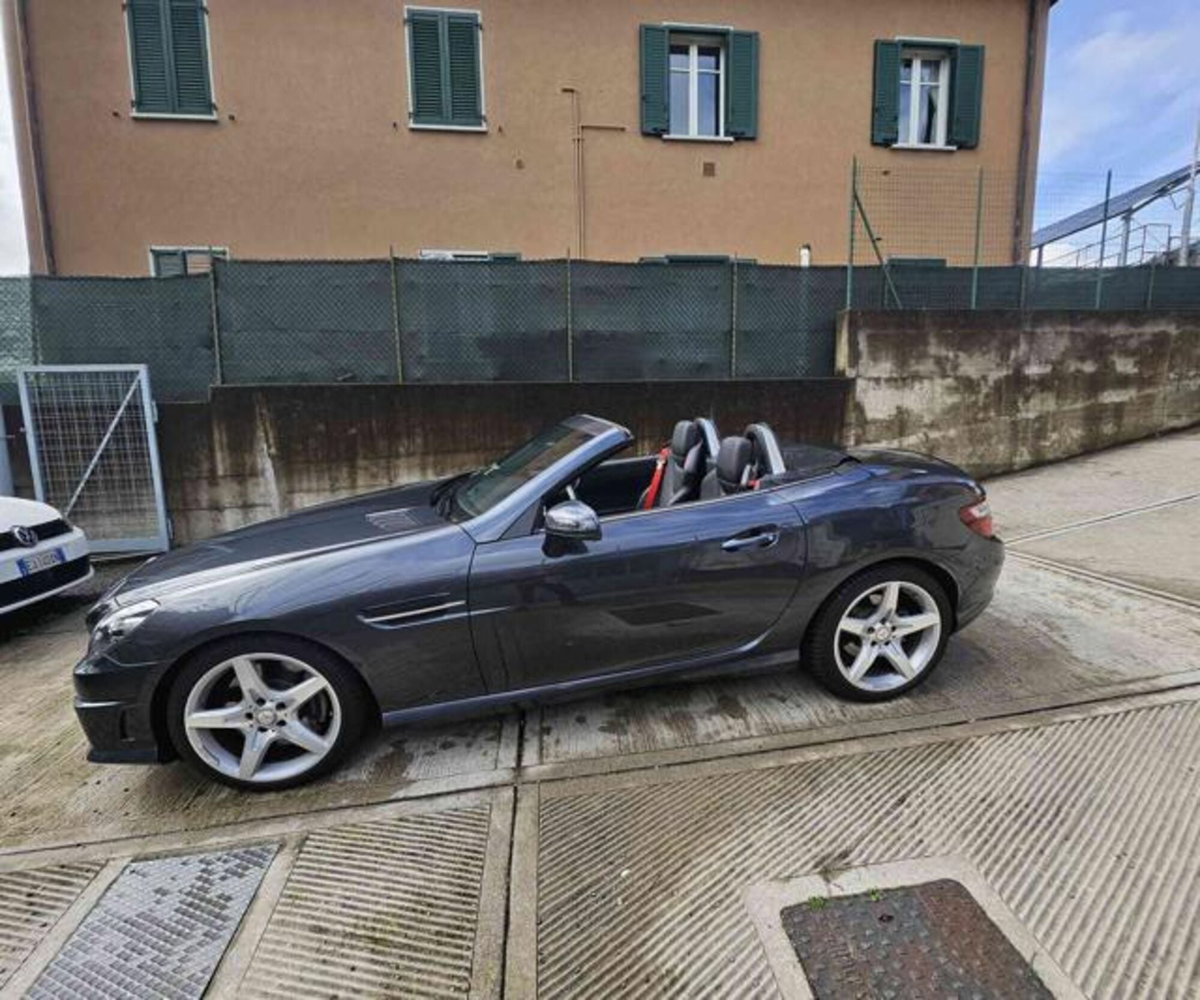 Mercedes-Benz SLK 200 BlueEFFICIENCY Premium (15)