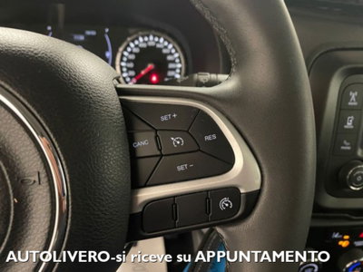 Jeep Renegade 1.6 Mjt 120 CV Longitude (15)