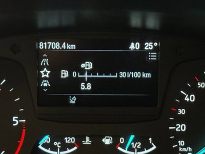 Ford Fiesta 1.5 EcoBlue 5 porte (14)