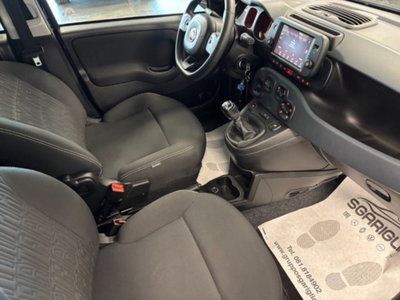 Fiat Panda Cross 1.0 firefly hybrid Cross s&s 70cv 5p.ti (10)