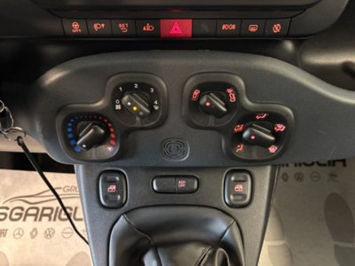 Fiat Panda Cross 1.0 firefly hybrid Cross s&s 70cv 5p.ti (16)