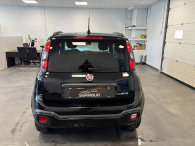 Fiat Panda Cross 1.0 firefly hybrid Cross s&s 70cv 5p.ti (5)