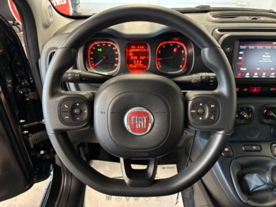 Fiat Panda Cross 1.0 firefly hybrid Cross s&s 70cv 5p.ti (8)