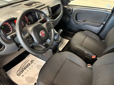 Fiat Panda Cross 1.0 firefly hybrid Cross s&s 70cv 5p.ti (9)