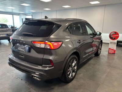 Ford Kuga 1.5 EcoBoost 150 CV 2WD ST-Line (4)