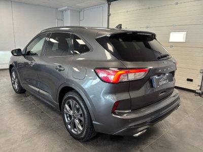 Ford Kuga 1.5 EcoBoost 150 CV 2WD ST-Line (6)