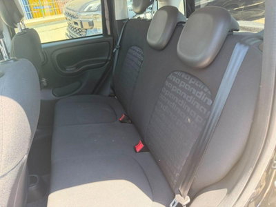 Fiat Panda 1.0 firefly hybrid s&s 70cv 5p.ti (8)