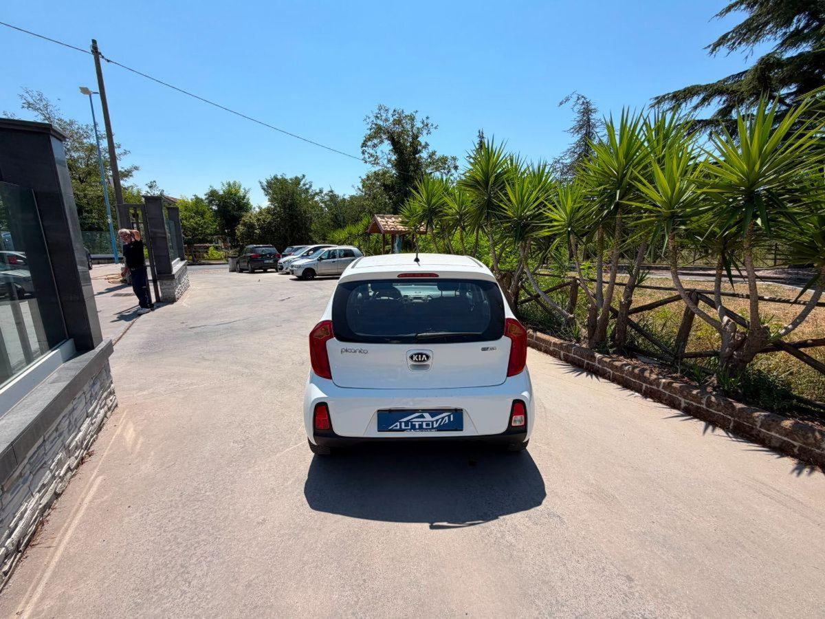 Kia Picanto 1.0 12V EcoGPL 5 porte Active (5)