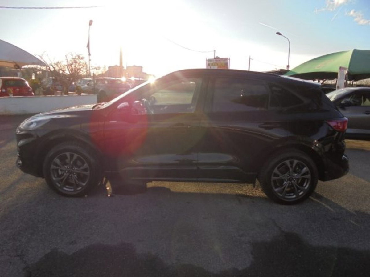 Ford Kuga 2.5 Plug In Hybrid 225 CV CVT 2WD ST-Line (12)