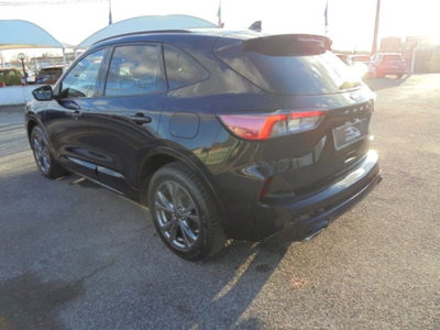 Ford Kuga 2.5 Plug In Hybrid 225 CV CVT 2WD ST-Line (14)