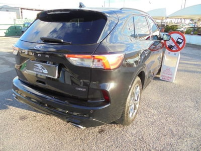 Ford Kuga 2.5 Plug In Hybrid 225 CV CVT 2WD ST-Line (18)