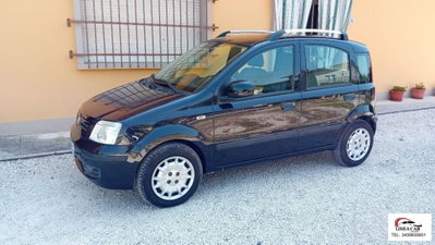 Fiat Panda 1.2 Active GPL (3)