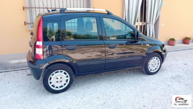 Fiat Panda 1.2 Active GPL (4)