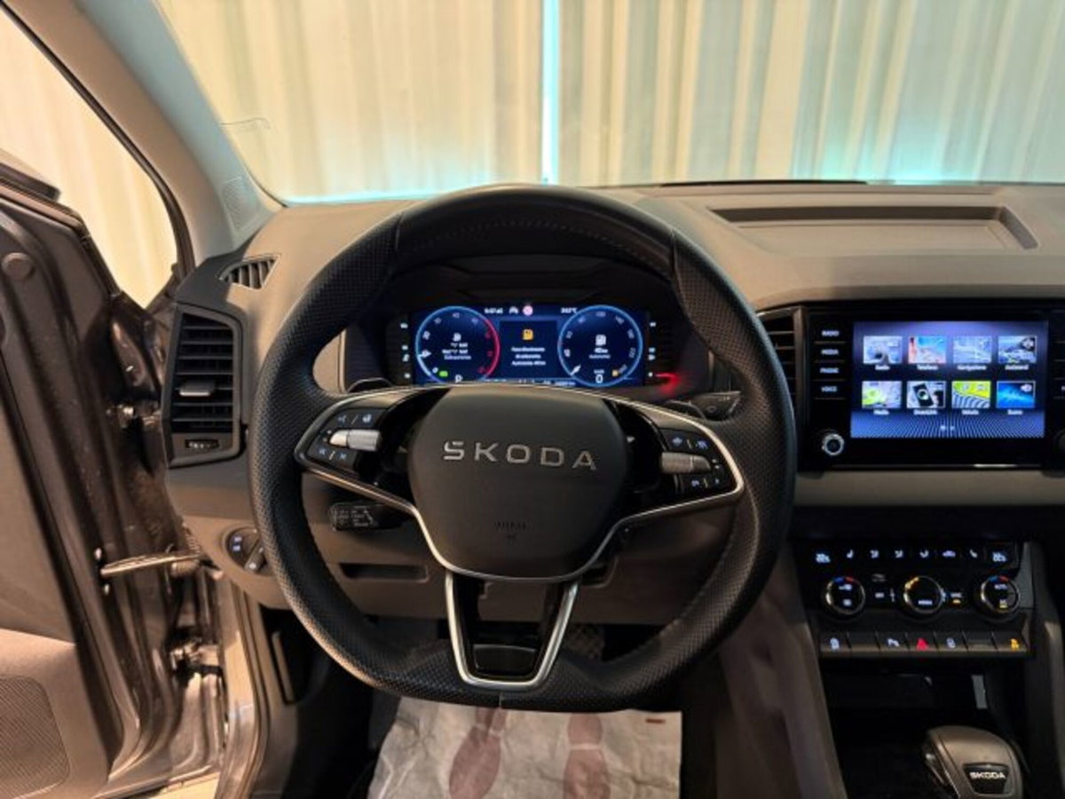 Skoda Karoq 2.0 tdi Selection 4x4 150cv dsg (17)