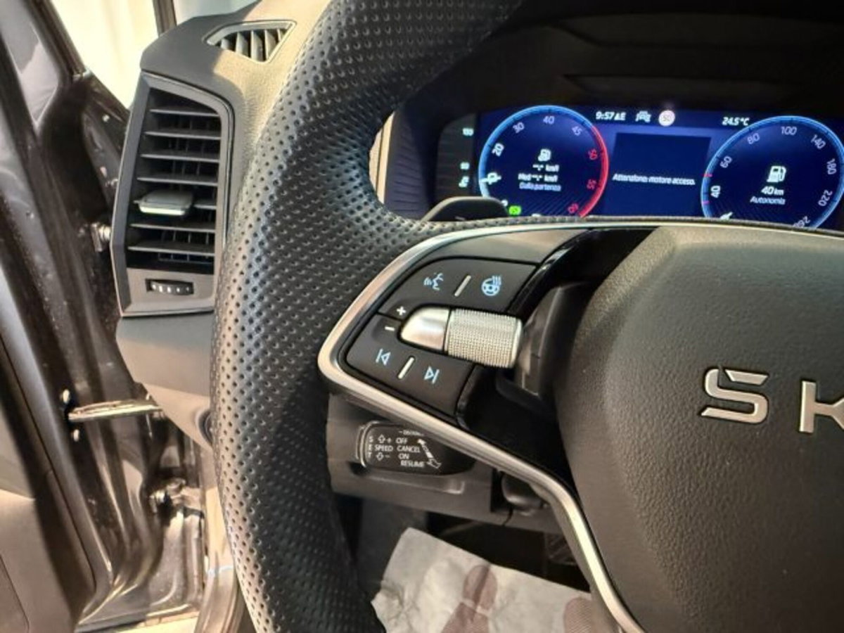 Skoda Karoq 2.0 tdi Selection 4x4 150cv dsg (8)