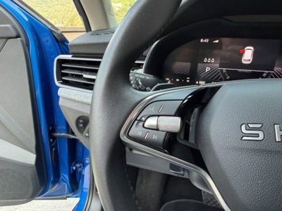Skoda Kamiq 1.5 tsi 130 Edition 150cv dsg (13)
