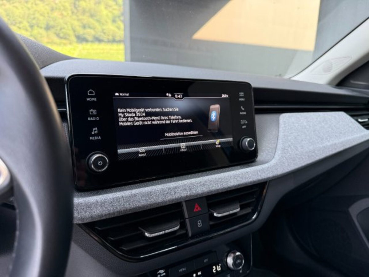 Skoda Kamiq 1.5 tsi 130 Edition 150cv dsg (16)